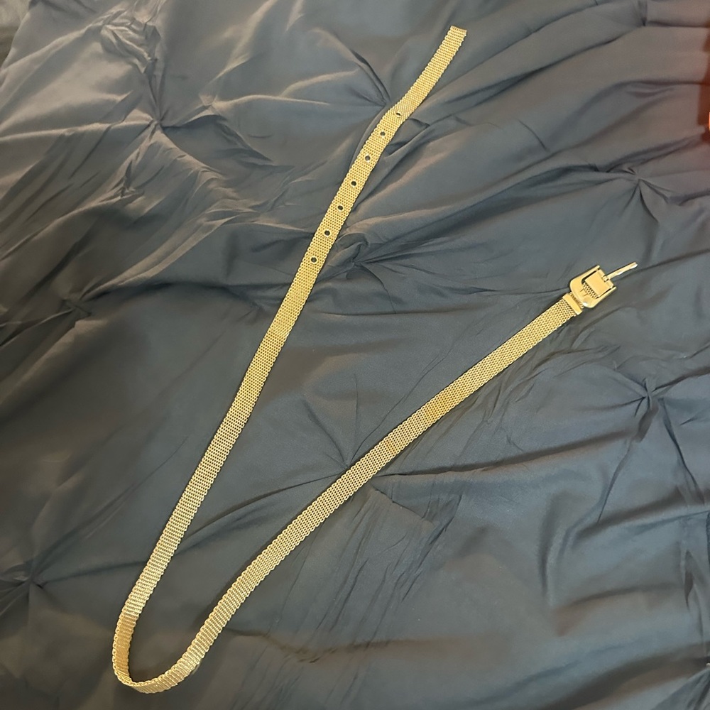Express women’s belt